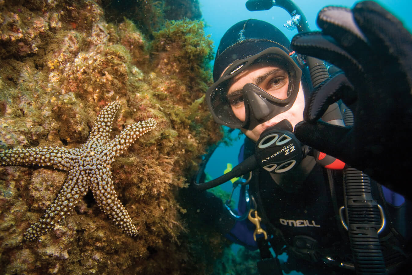 buceo_wayuu_home_PADI_open_water